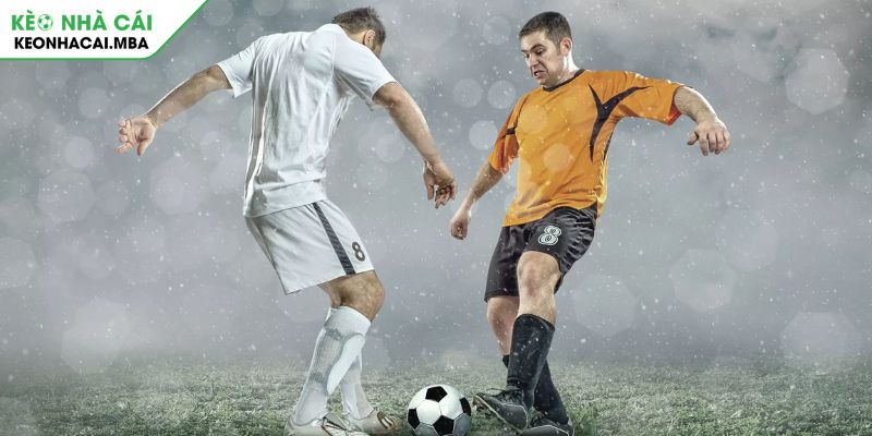 Học hỏi kinh nghiệm từ chuyên gia soi kèo cá cược tỷ số