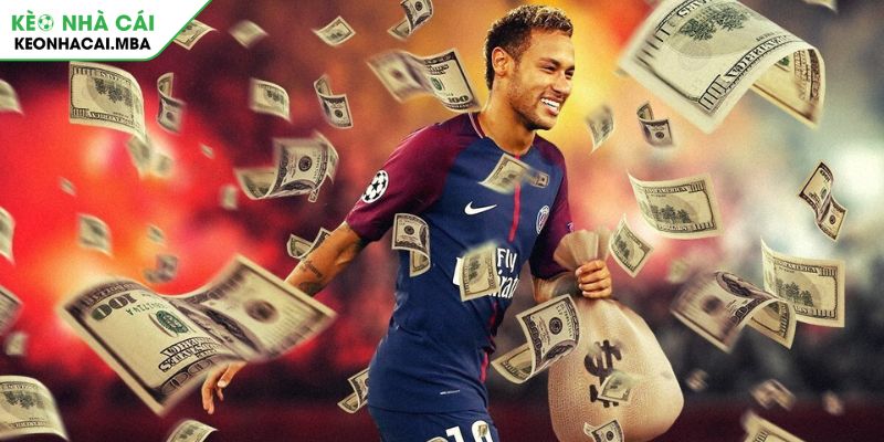 Khám phá thế giới muôn màu của cáp kèo