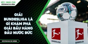 Giải Bundesliga Là Gì Khám Phá Giải Đấu Hàng Đầu Nước Đức