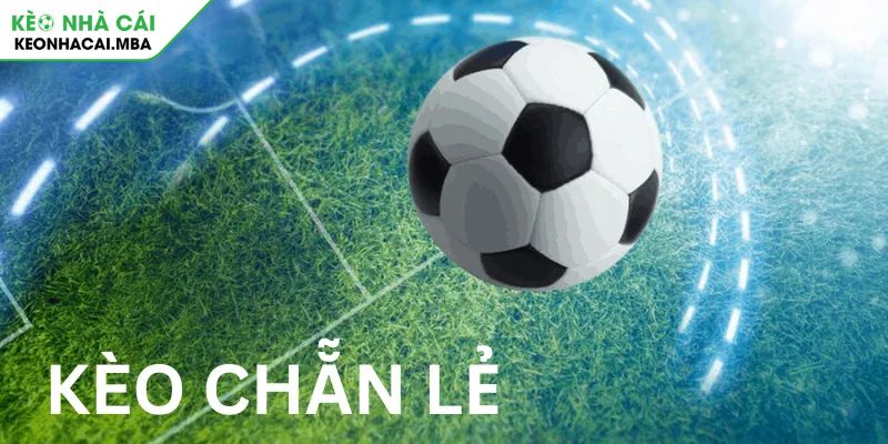 Giải mã sức hút của kèo chẵn lẻ trong thế giới cá cược