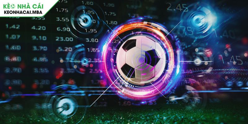 Chiến thuật cá cược kèo chấp 1 1/4 hiệu quả từ chuyên gia