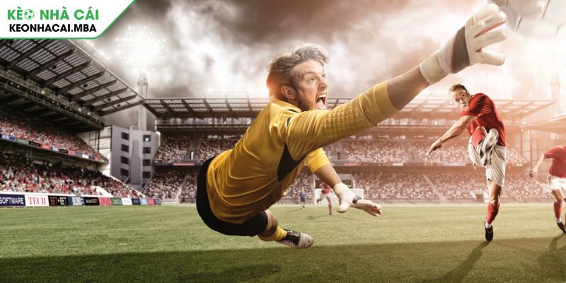 Kèo chấp đồng banh 1/4 mỏ vàng tiềm năng cho bet thủ thông minh