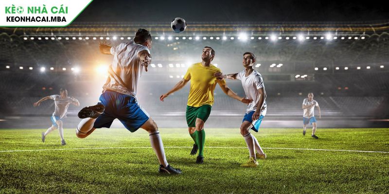 Phân tích lịch sử đối đầu khi cược kèo chấp đồng banh 1/4