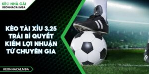 Kèo Tài Xỉu 3.25 Trái Bí Quyết Kiếm Lợi Nhuận Từ Chuyên Gia