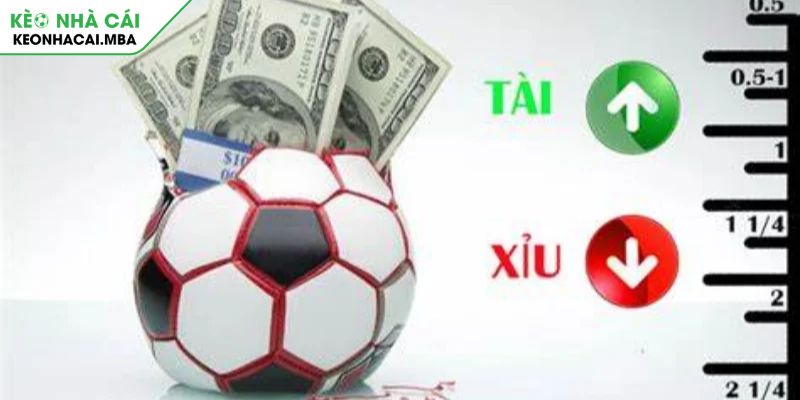 Bí quyết nâng cao tỷ lệ thắng kèo tài xỉu 3.25 trái