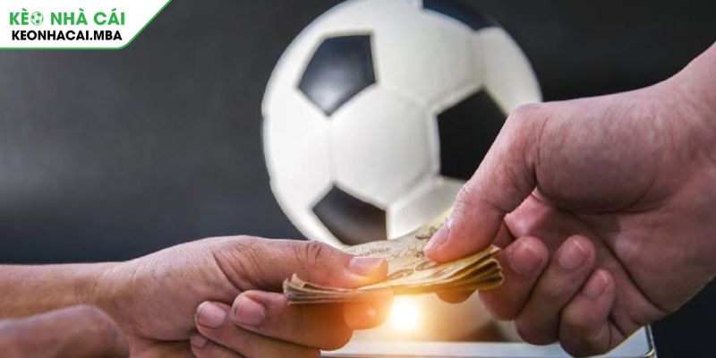 Cách tính tiền cược tài xỉu 3 trái