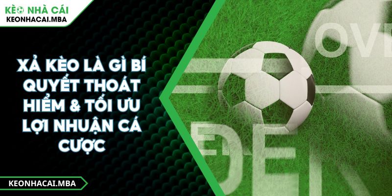 Xả Kèo Là Gì Bí Quyết Thoát Hiểm & Tối Ưu Lợi Nhuận Cá Cược
