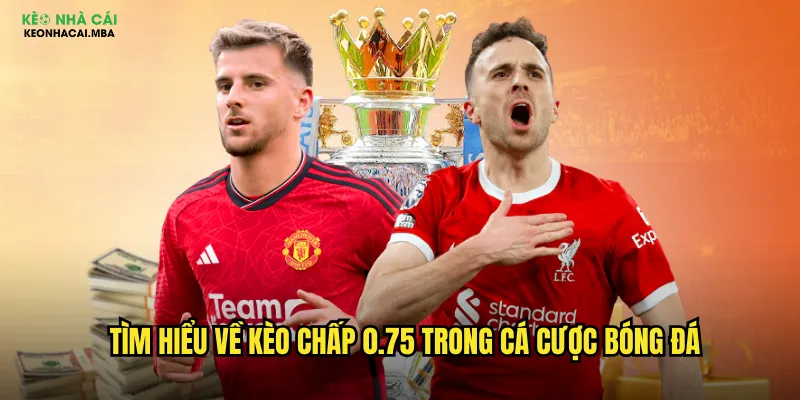 Tìm hiểu về kèo chấp 0.75 trong cá cược bóng đá