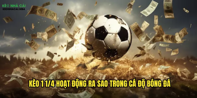 Kèo 1 1/4 hoạt động ra sao trong cá độ bóng đá