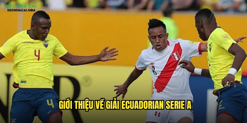 Giới thiệu về giải Ecuadorian Serie A