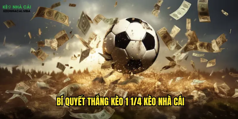 Bí quyết thắng kèo 1 1/4 kèo nhà cái