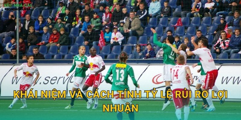 Khái niệm và cách tính tỷ lệ rủi ro lợi nhuận