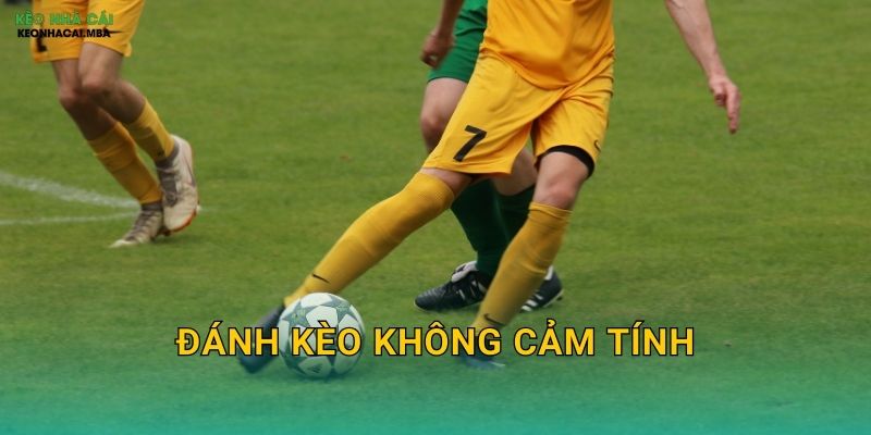 Đánh Kèo Không Cảm Tính – Nền Tảng Của Cược Thủ Lý Trí Tại Keonhacai MBA