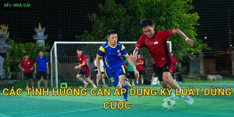 Các tình huống cần áp dụng kỷ luật dừng cược