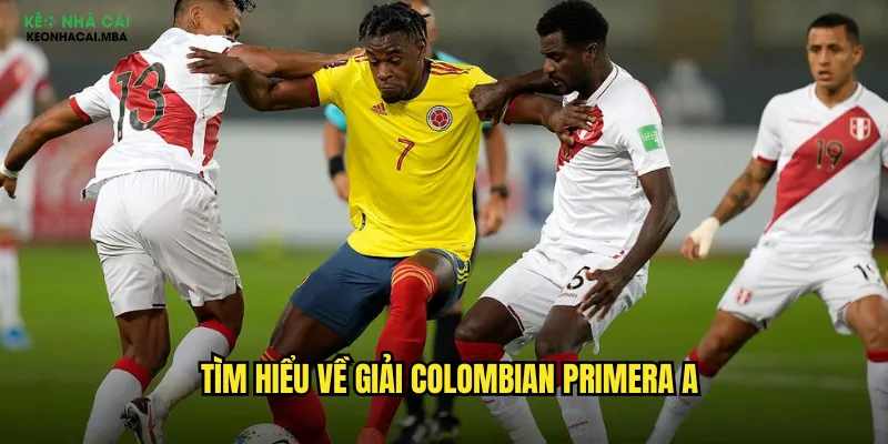 Tìm hiểu về giải Colombian Primera A