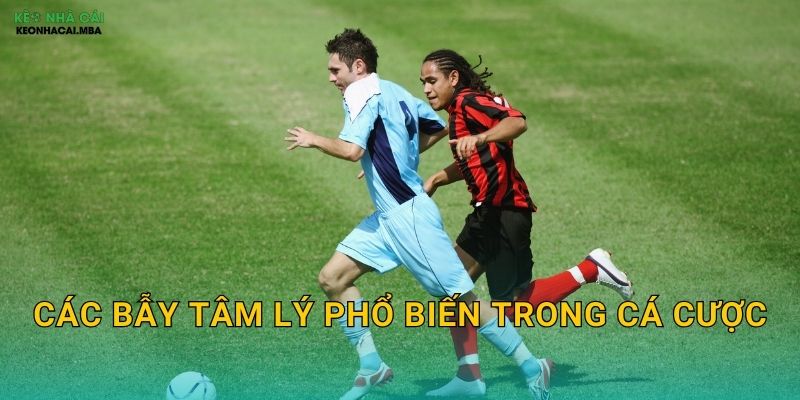 Các bẫy tâm lý phổ biến trong cá cược