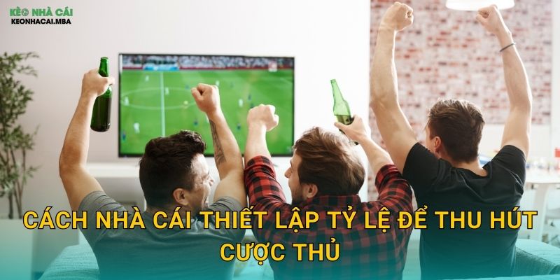 Cách nhà cái thiết lập tỷ lệ để thu hút cược thủ