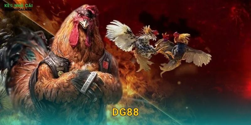 DG88 – Đẳng Cấp Châu Á Qua Lăng Kính Keo nha cai MBA