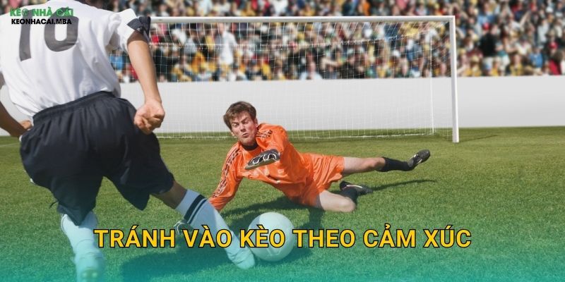 Tránh Vào Kèo Theo Cảm Xúc – Giữ Vững Lý Trí Cùng Keo nha cai MBA