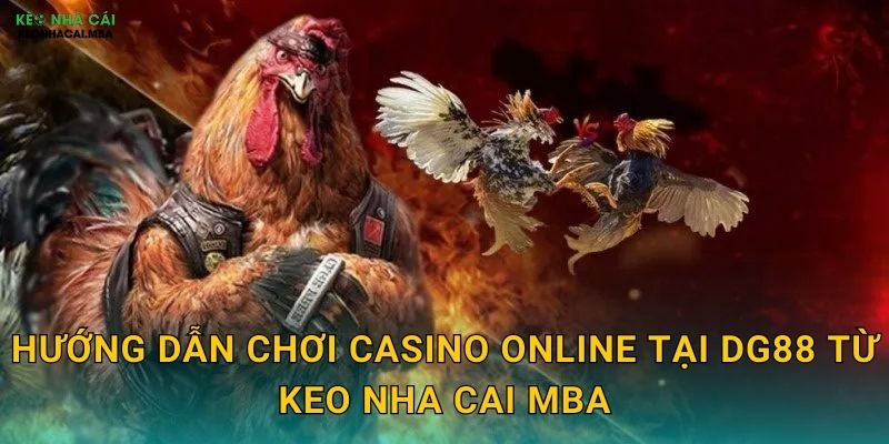 Hướng dẫn chơi casino online tại DG88 từ Keo nha cai MBA
