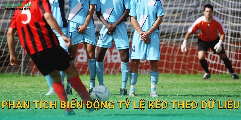 Phân Tích Biến Động Tỷ Lệ Kèo Theo Dữ Liệu – Nghệ Thuật Bắt Kèo Tại Kèo Nhà Cái