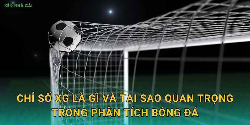 Chỉ số xG là gì và tại sao quan trọng trong phân tích bóng đá