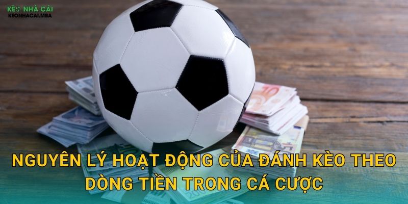 Nguyên lý hoạt động của đánh kèo theo dòng tiền trong cá cược