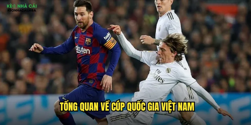 Tổng quan về Cúp Quốc Gia Việt Nam