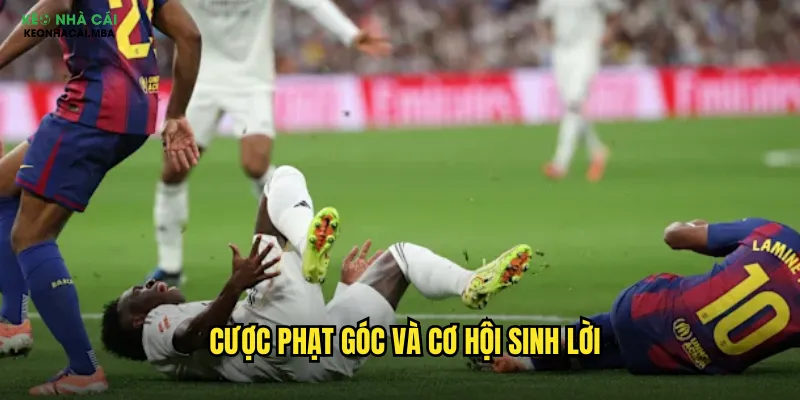 Cược phạt góc và cơ hội sinh lời