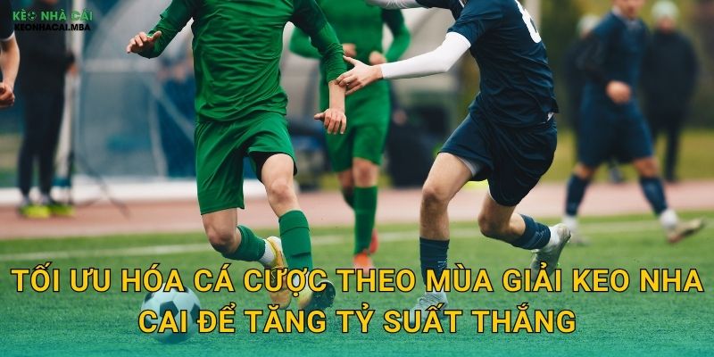 Tối ưu hóa cá cược theo mùa giải keo nha cai để tăng tỷ suất thắng