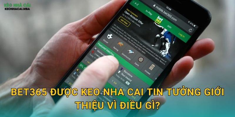 Bet365 Được Keo Nha Cai Tin Tưởng Giới Thiệu Vì Điều Gì?