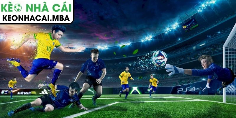 Vì sao Livescore được xem là công cụ thiết yếu