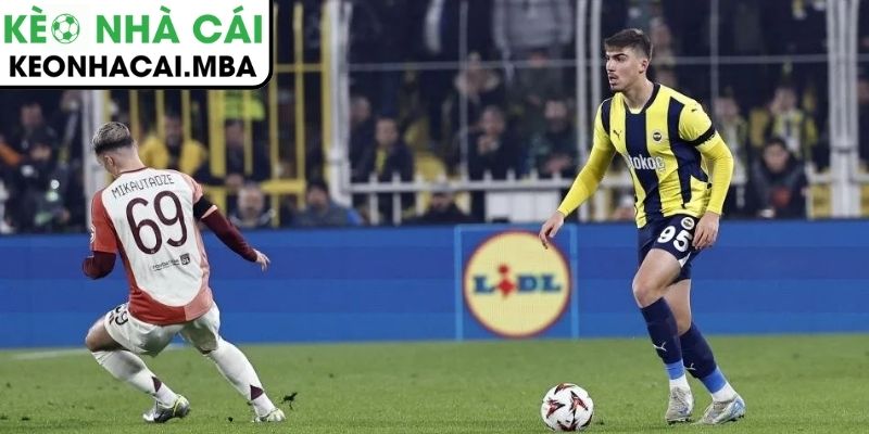 Thông tin lực lượng Fenerbahçe vs Aston Villa (00:45 23/01, Europa League)