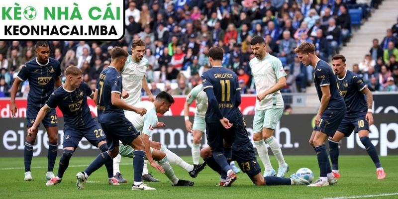 Thông tin lực lượng trận Werder Bremen vs Hoffenheim (02:30 28/01, Bundesliga)