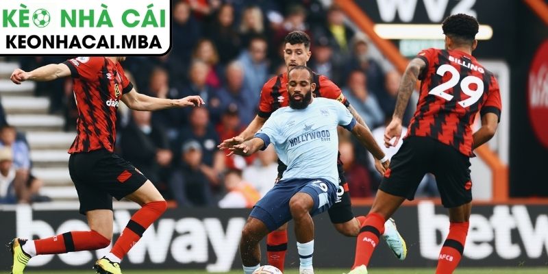 Dự đoán kết quả trận AFC Bournemouth vs Brentford (02:30 04/03, Ngoại hạng Anh)