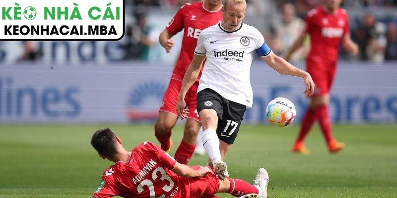 Thông tin lực lượng trận Eintracht Frankfurt vs Köln (22:30 05/04, Bundesliga)