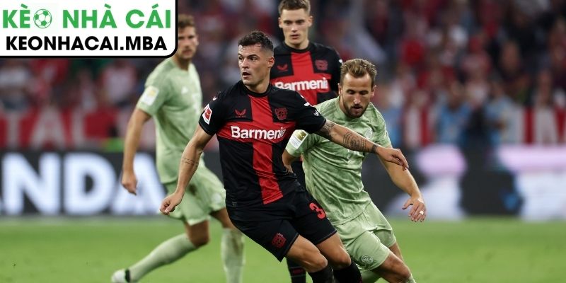 Thông tin lực lượng trận Bayer Leverkusen vs Bayern Munich (21:30 14/03, Bundesliga)
