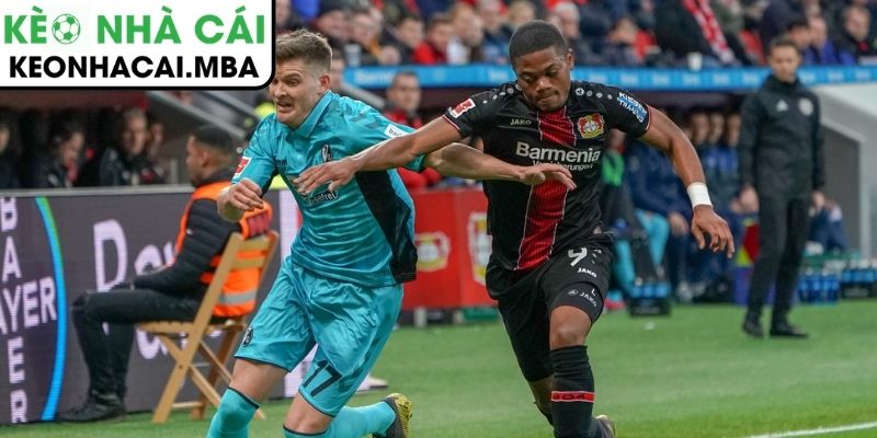 Thông tin lực lượng trận Freiburg vs Bayer Leverkusen (21:30 07/03, Bundesliga)
