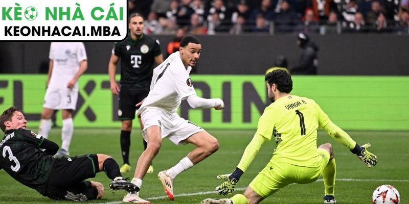 Thông tin lực lượng trận Sporting Braga vs Ferencváros (22:30 18/03)Thông tin lực lượng trận Sporting Braga vs Ferencváros (22:30 18/03)
